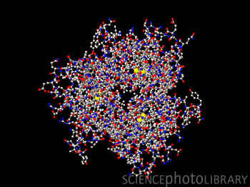 TNF是肿瘤坏死因子-α（Tumor Necrosis Factor）的简写，是一种能够直接杀伤肿瘤细胞而对正常细胞无明显毒性的细胞因子，