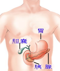 PNAS：用特异性基因突变诊断胰腺囊肿